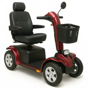 Скутер «Maxi Reale» Scooter-Maxi-Reale купить