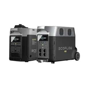 EcoFlow DELTA Pro set + EcoFlow Smart Generator (gasoline)