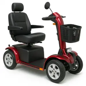 Скутер &quot;Maxi Plus&quot; Scooter-Maxi-Plus купить