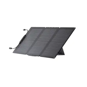 Сонячна панель EcoFlow 60W Solar Panel купити